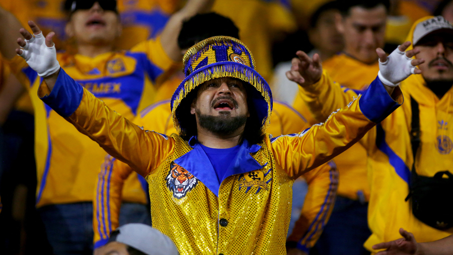 Hincha de Tigres en el partido frente a Toluca