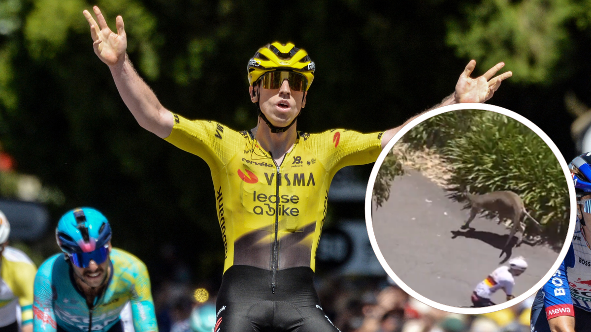 Brennam es ganador de la última etapa del Tour Down Under que tuvo un accidente con canguro