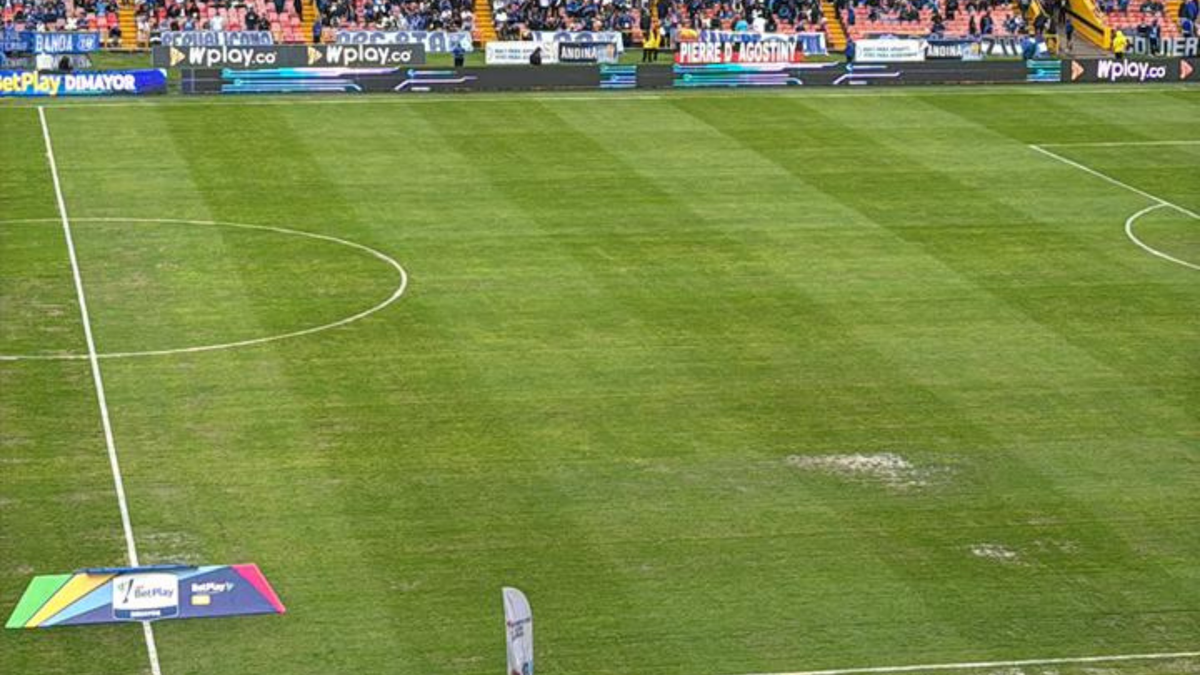 Estado de la grama del estadio El Campín