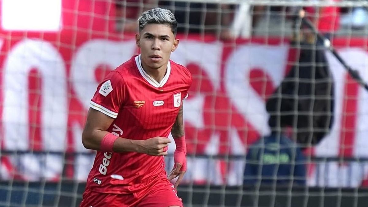 Nicolás Hernández
