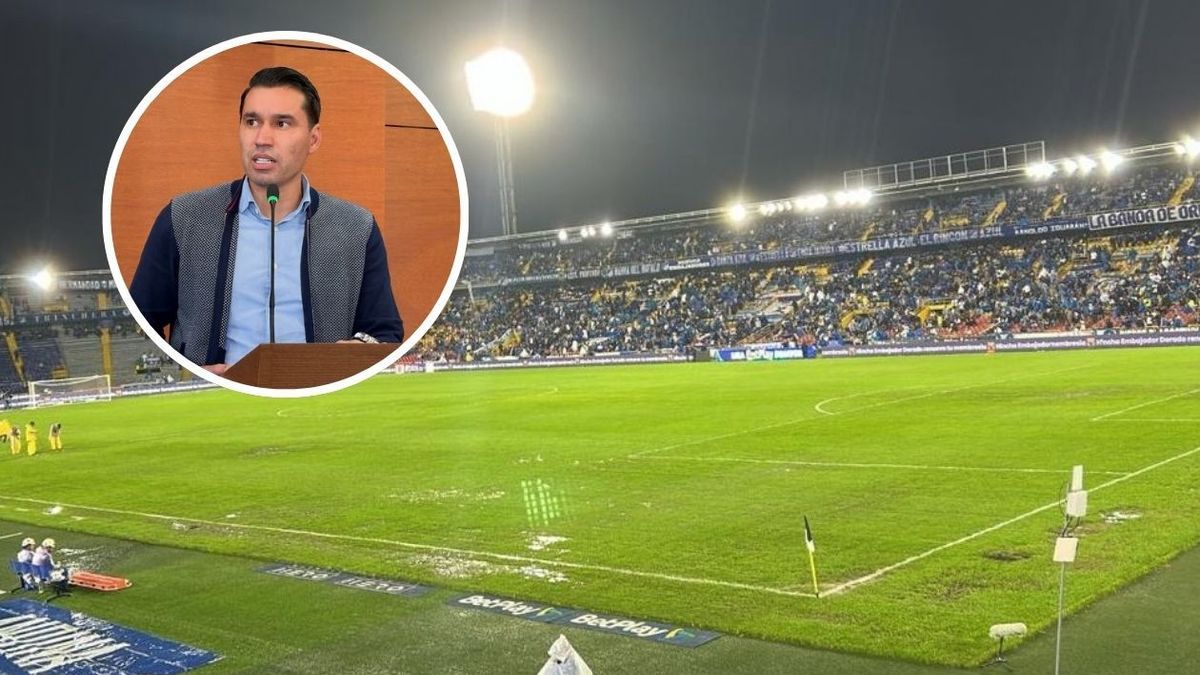 Leandro Castellanos, concejal de Bogotá.