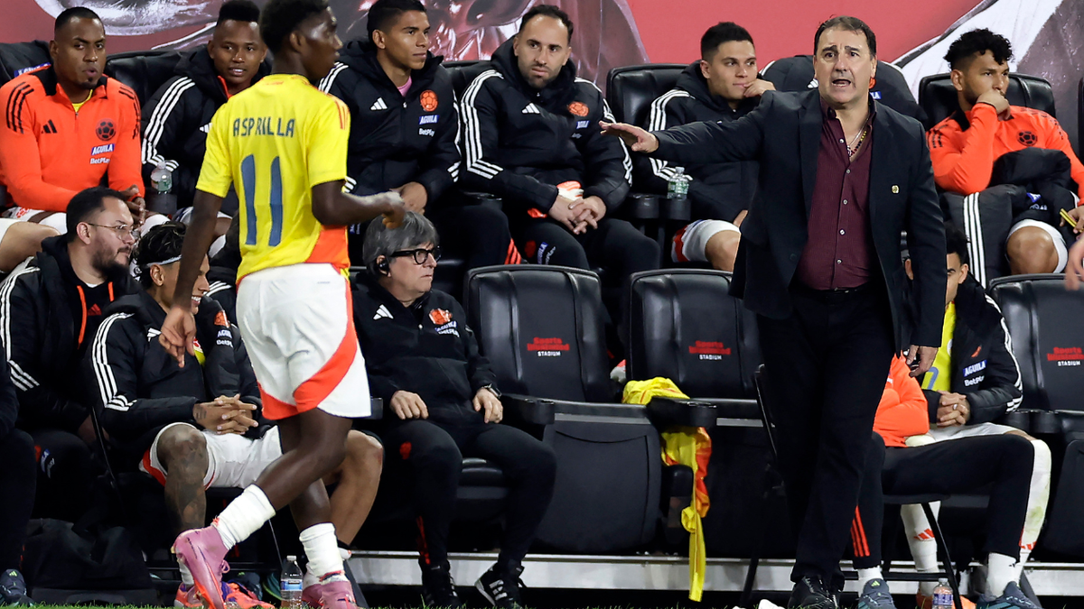 Estos serían los jugadores convocados para los amistosos de Colombia