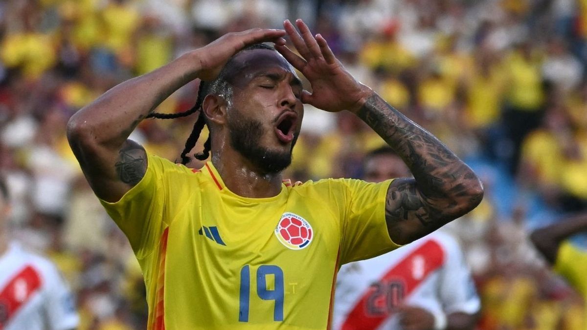 Luis Javier Suárez, goleador de la Selección Colombia.