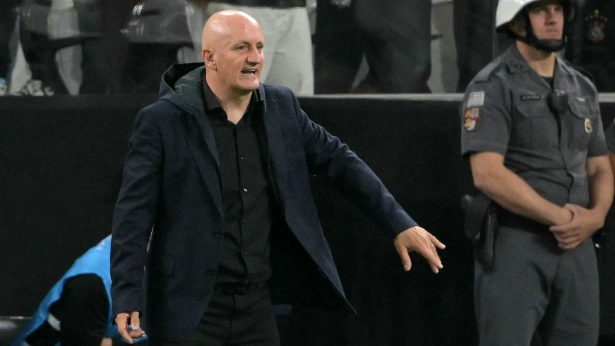 Pablo Repetto analizó lo que queda del semestre para Santa Fe