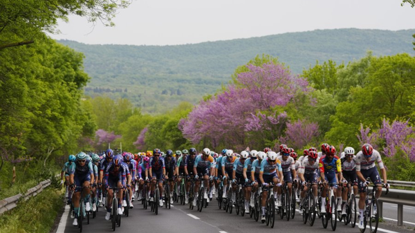 Perrito protagonizó momento viral en el Giro de Italia 2026: ¿Qué pasó?