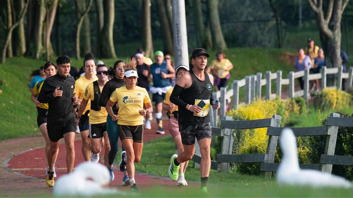 Wings for Life World Run