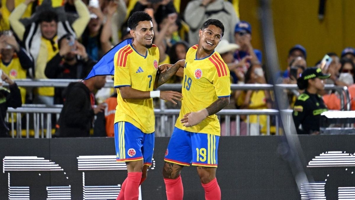 Juan Camilo 'cucho' Hernández podría jugar en el Newcastle