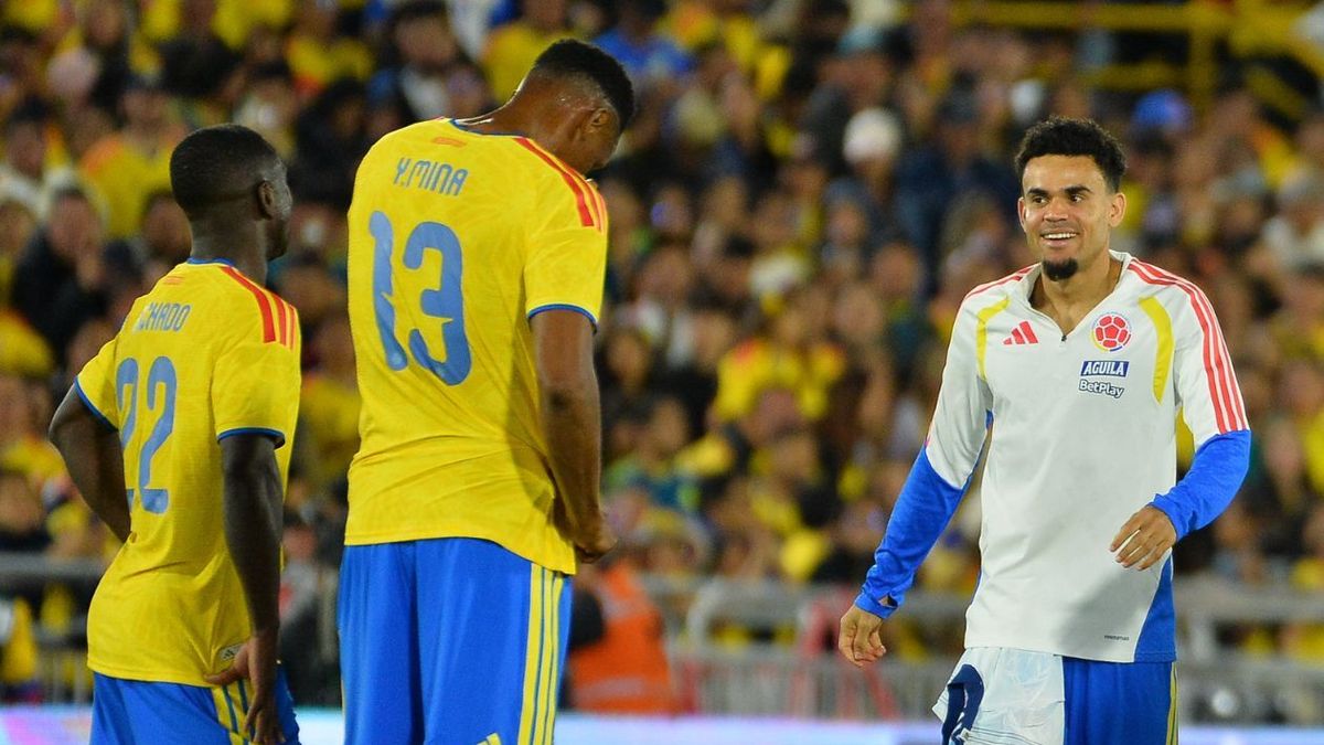 [Video] En la Selección Colombia se armó un 'parrandón' en pleno Mundial