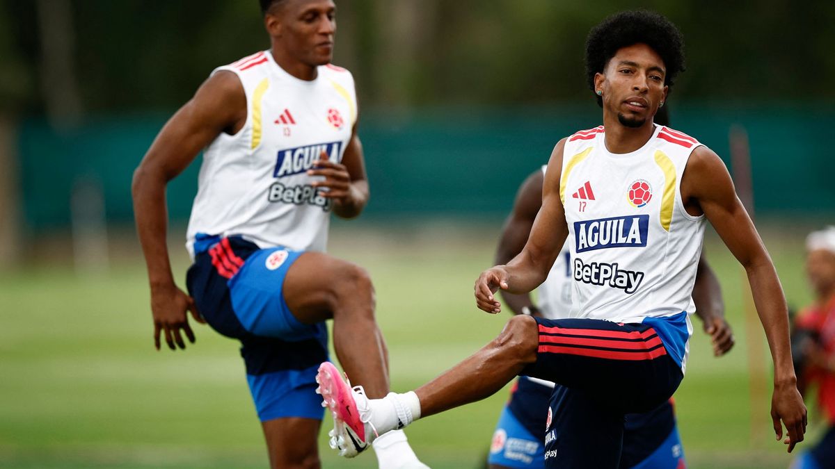 Johan Mojica y Yerry Mina, defensores de Colombia