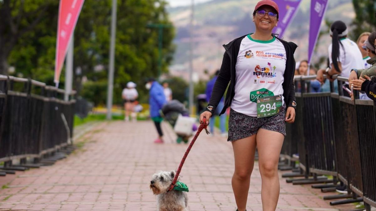 Así se vivirá el Festival de Verano en Bogotá