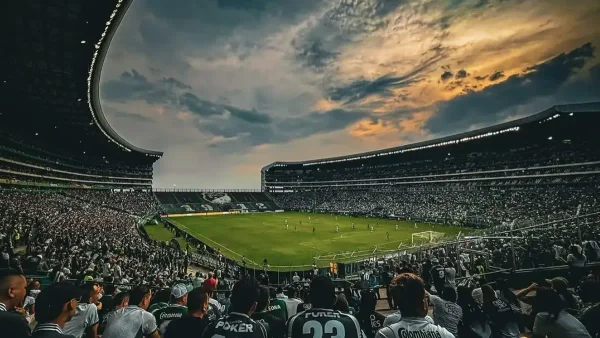¿Cómo le fue al Palmaseca? Este es el resultado de la inspección al estadio del Deportivo Cali