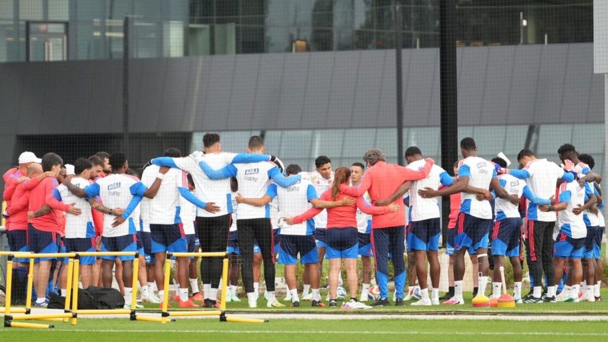 Selección Colombia recuperaría a un jugador para la Fecha FIFA vs Chile