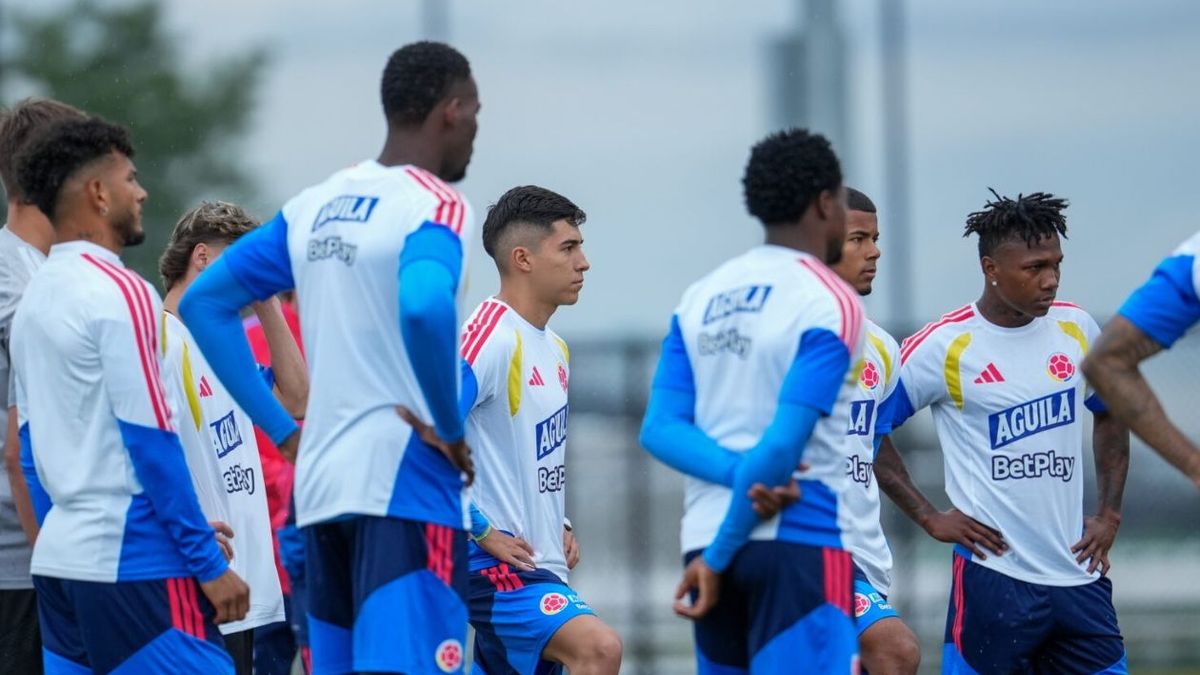 Jugador de Selección Colombia se recuperó y podría estar en Fecha FIFA vs Chile