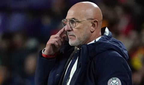 Luis de la Fuente, técnico de España