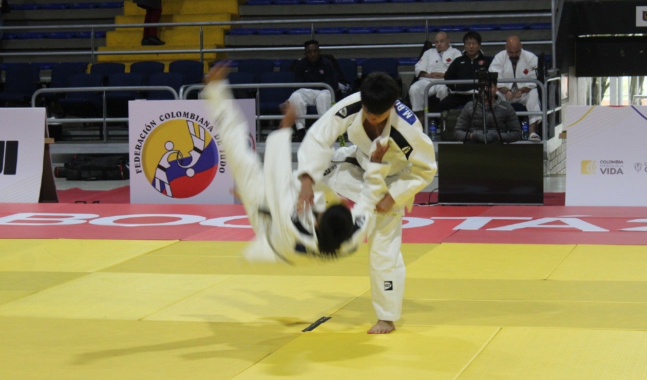 Pelea de judo