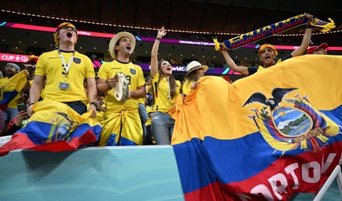 Hinchas de la Selección de Ecuador