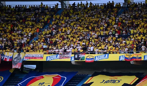 Hinchas de Selección Colombia