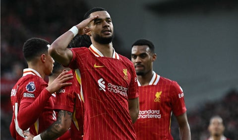 Cody Gakpo, Liverpool