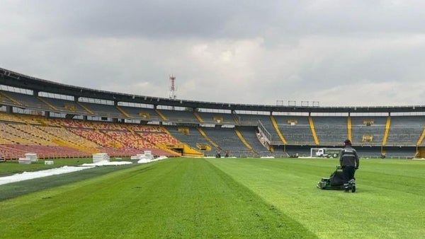 Sencia puso la cara: el ambicioso plan para mejorar la grama de El Campín