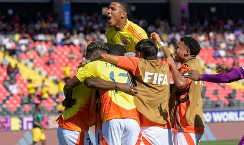 Selección Colombia sub-20 en el mundial de la categoría