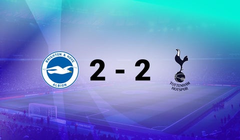 Brighton vs Tottenham