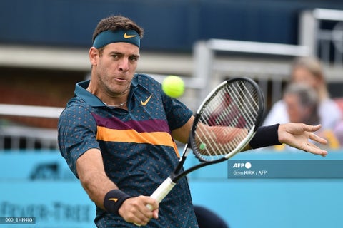 Juan Martín del Potro