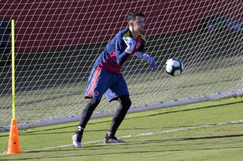 Camilo Vargas, Selección Colombia