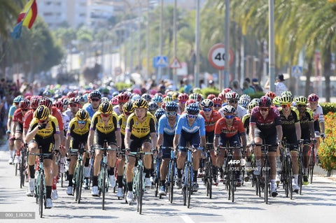 Vuelta a España 2019