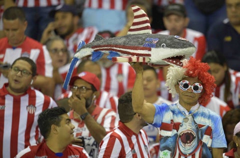 Junior, Copa Libertadores