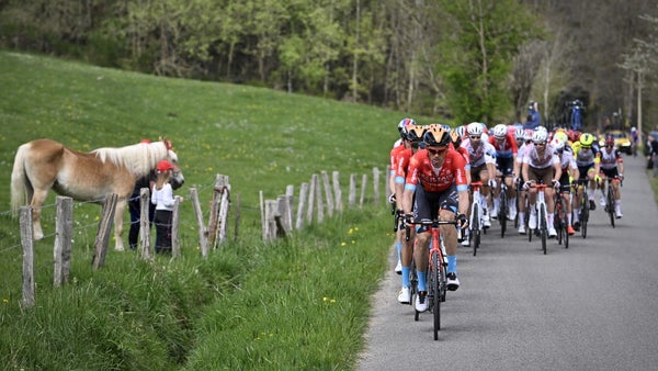 ¿A cuáles carreras se les denomina 'Monumento' en el ciclismo y por qué?