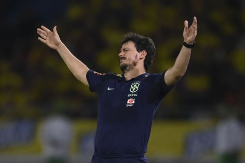 Fernando Diniz, técnico de Brasil