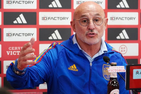 Luis de la Fuente, DT de España