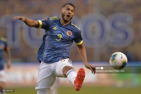 Luis Javier Suárez, Selección Colombia
