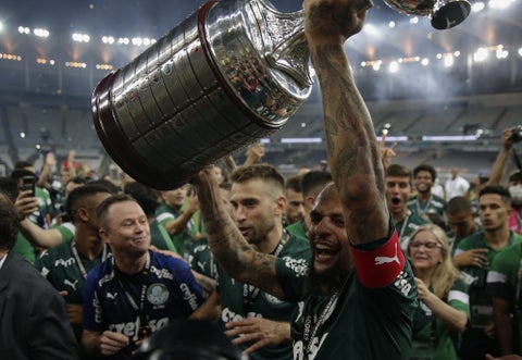 Felipe Melo, Palmeiras
