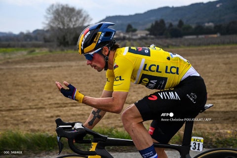 Primoz Roglic 2021