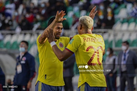 Andrés Andrade y Roger Martínez en Selección Colombia