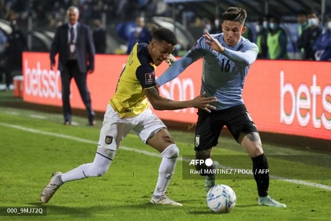 Uruguay vs Ecuador, Eliminatoria sudamericana