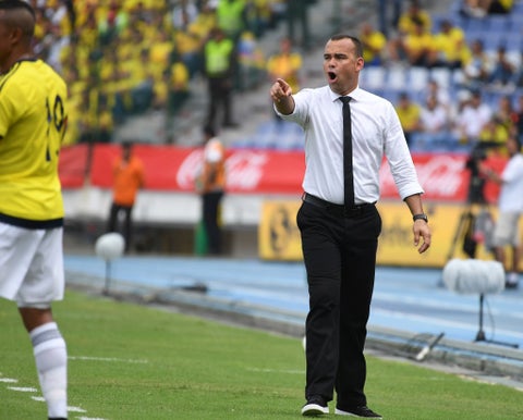 Rafael Dudamel, Selección Colombia