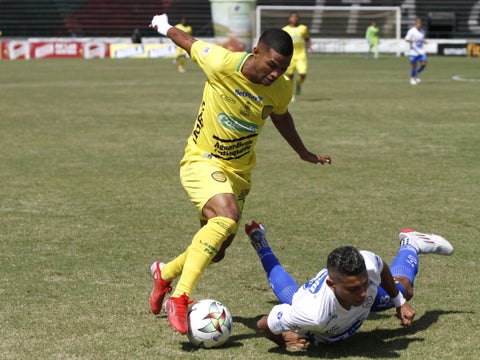 Luis Felipe Gómez, Leones