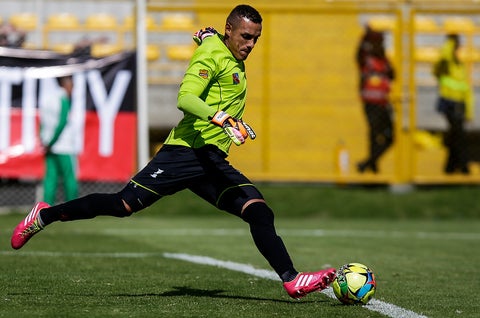Bréiner Castillo, arquero retirado