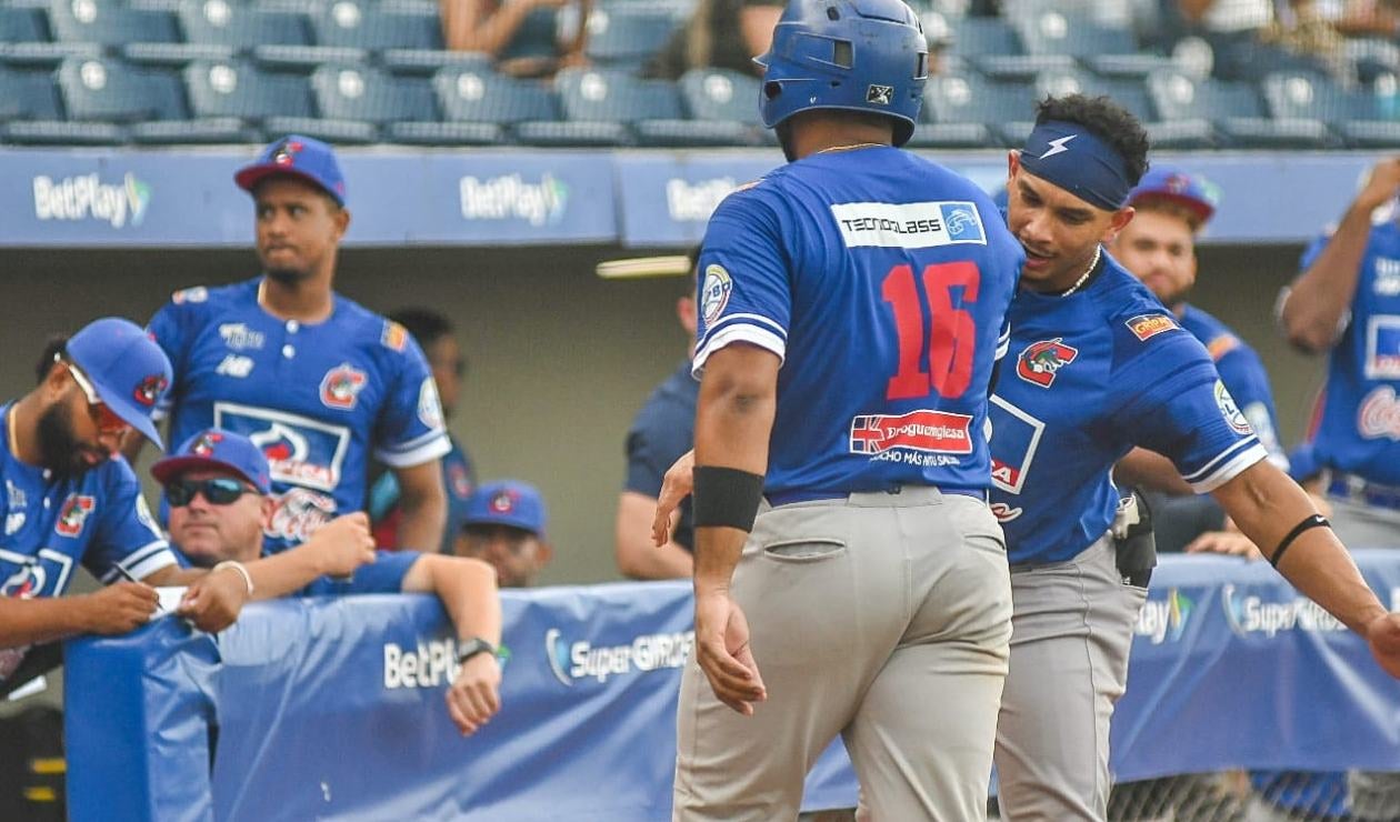 Caimanes de Barranquilla