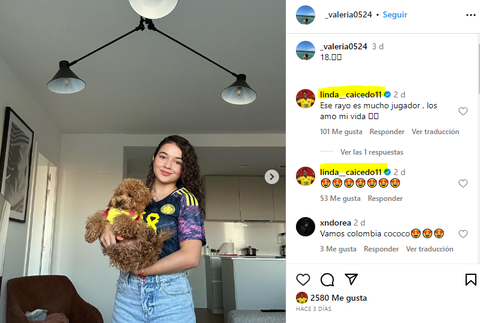 Imagen de referencia.