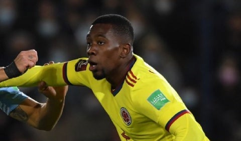 Carlos Cuesta, Selección Colombia