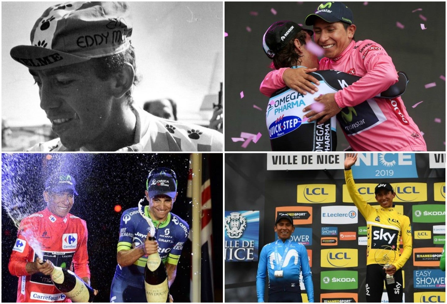 Escarabajos colombianos