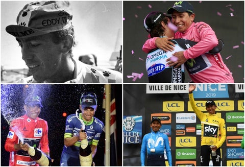 Escarabajos colombianos