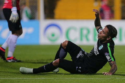 Dayro Moreno - Atlético Nacional