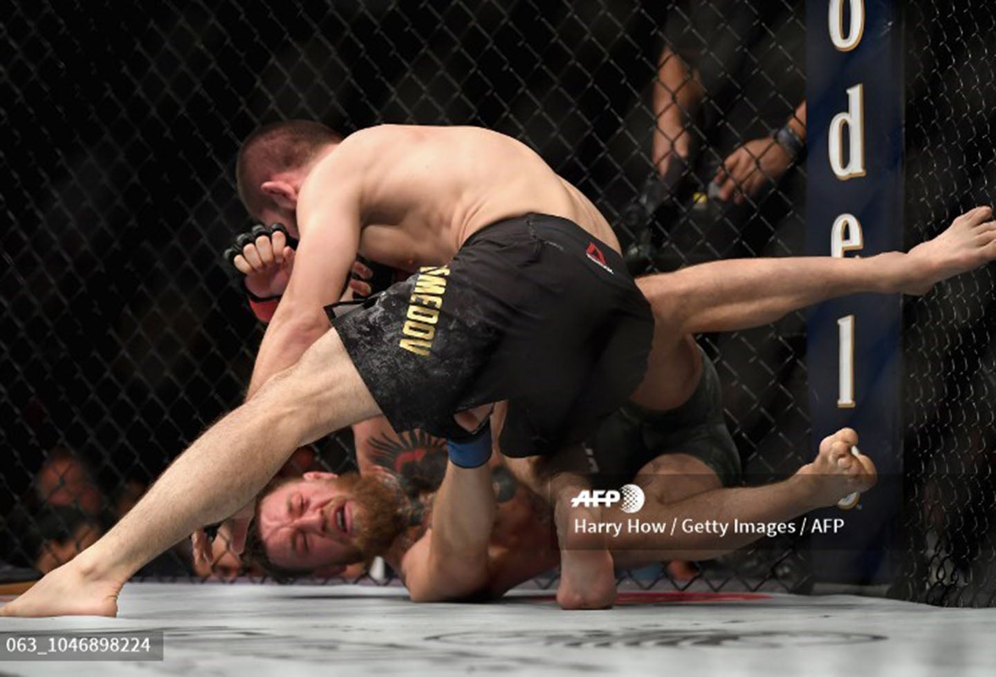 Conor McGregor vs Khabib Nurmagomedov fue tan intenso que llevó a una batalla campal