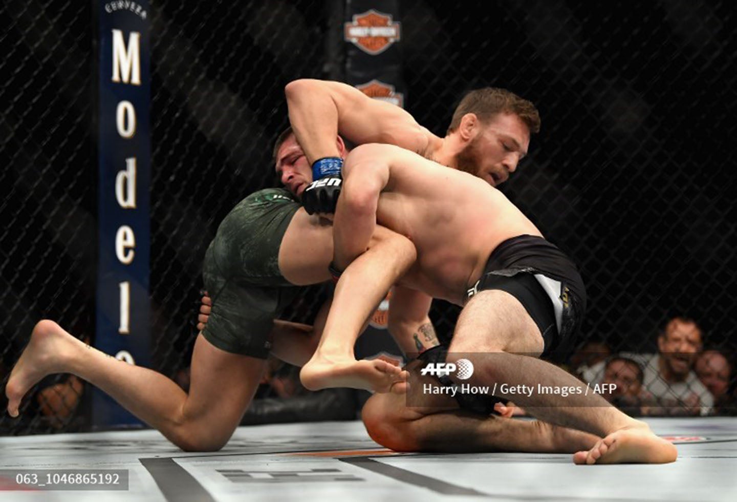 Conor McGregor vs Khabib Nurmagomedov, la pelea estelar del UFC