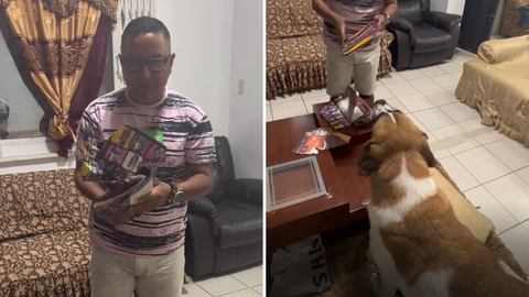 Hombre furioso y triste luego de ver que su perro se comiera el álbum Panini de Qatar 2022; la mascota se encuentra feliz