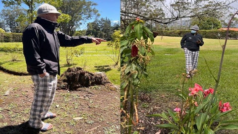 Tino Asprilla defendió a Gerard Piqué